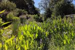 IMG_20190703_172048.jpg