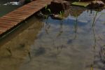 Filterbecken mit Steg in Nürnberg - Sankt Johannis