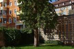 Schwimmteich mit Birnbaum in Nürnberg - Sankt Johannis